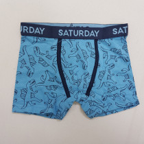 شورت سه عددی پسرانه 30657 سایز 2 تا 16 سال مارک C&A