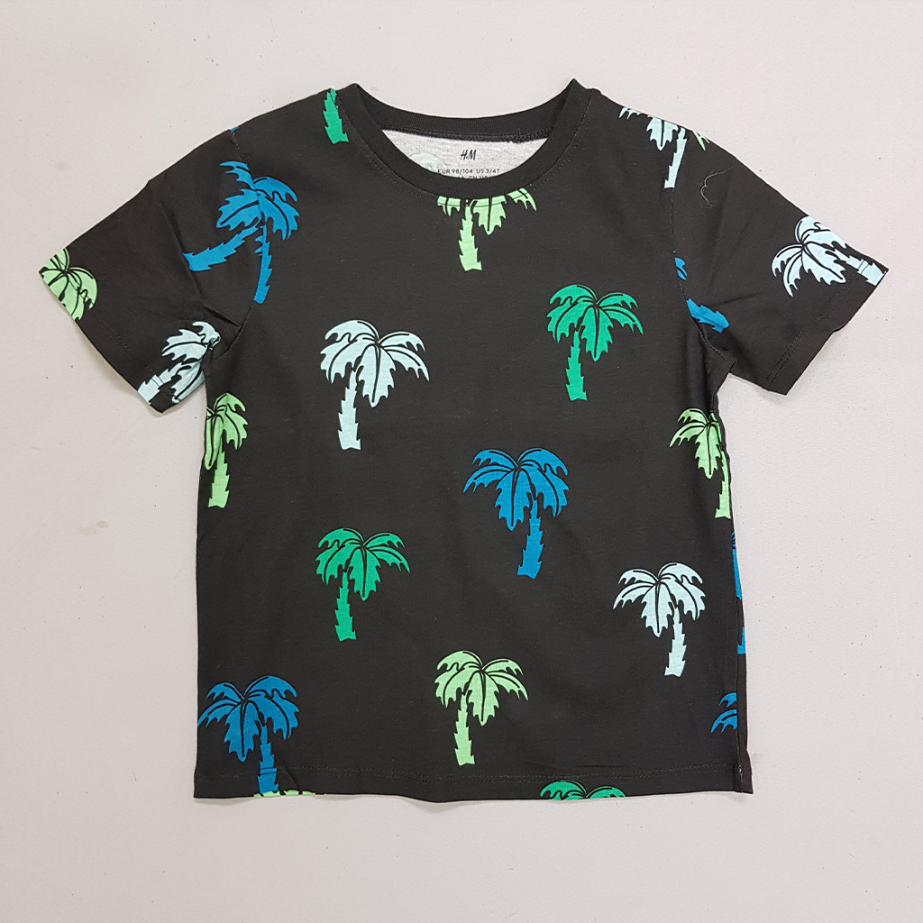 تی شرت پسرانه 30721 سایز 3 تا 10 سال مارک H&M