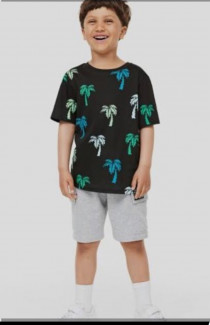 تی شرت پسرانه 30721 سایز 3 تا 10 سال مارک H&M