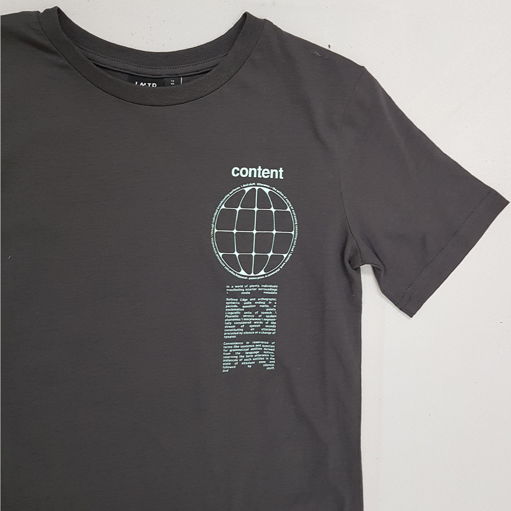 تی شرت پسرانه 30543 سایز 9 تا 16 سال کد 6 مارک name it   *