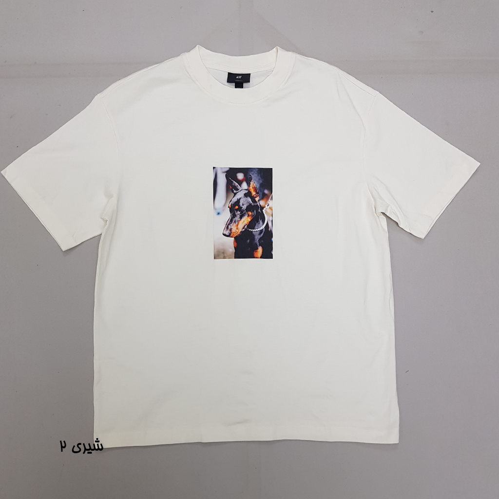 تی شرت مردانه 30389 کد 3 مارک H&M
