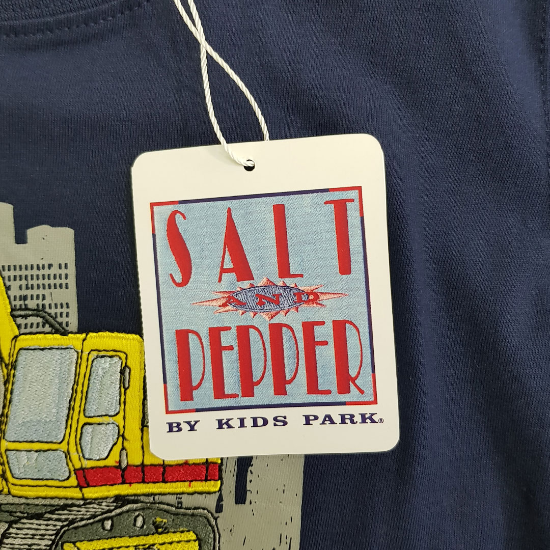 تی شرت پسرانه 23947 سایز 2 تا 9 سال مارک SALT AND PEPPER
