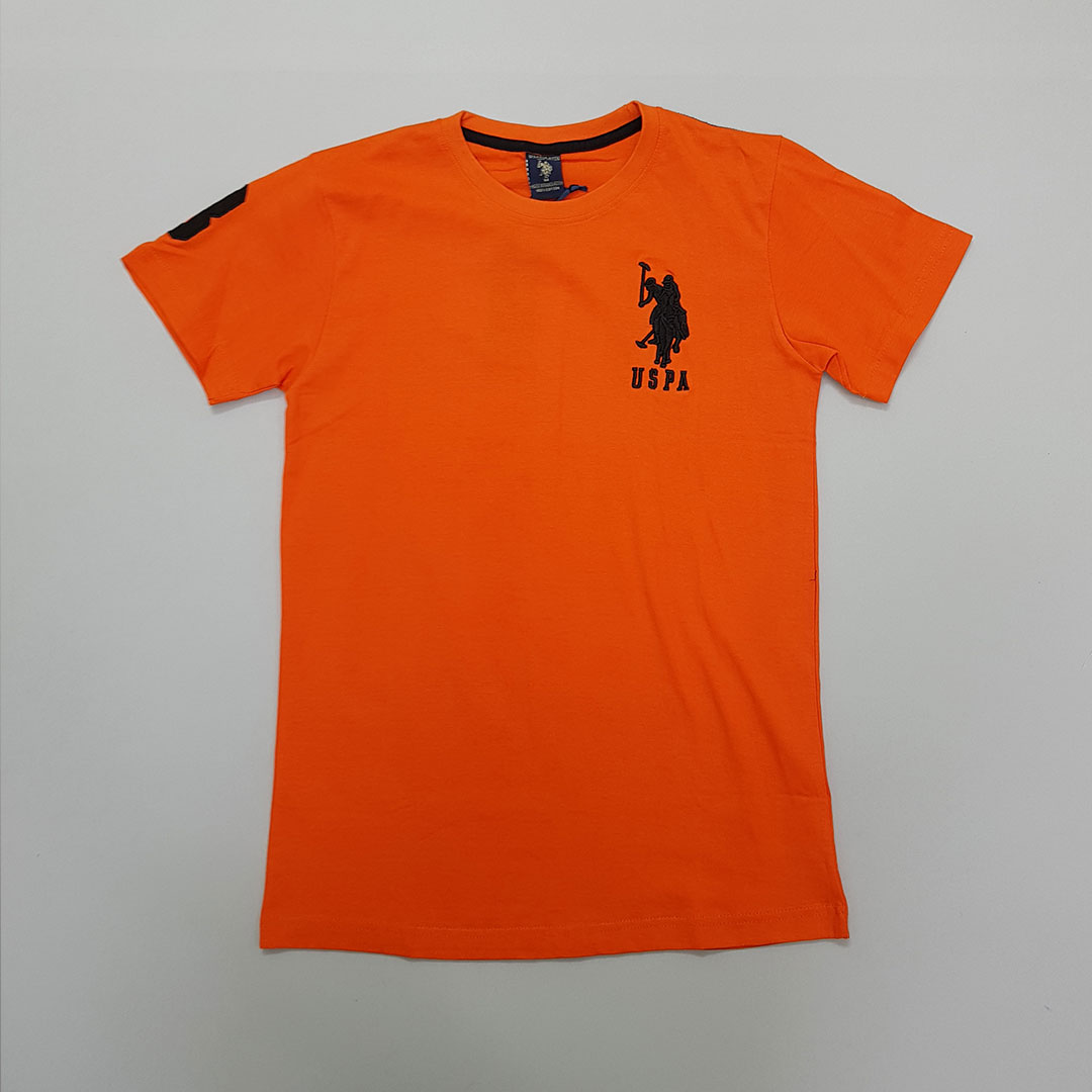 تیشرت مردانه 28539 مارک POLO ASSN