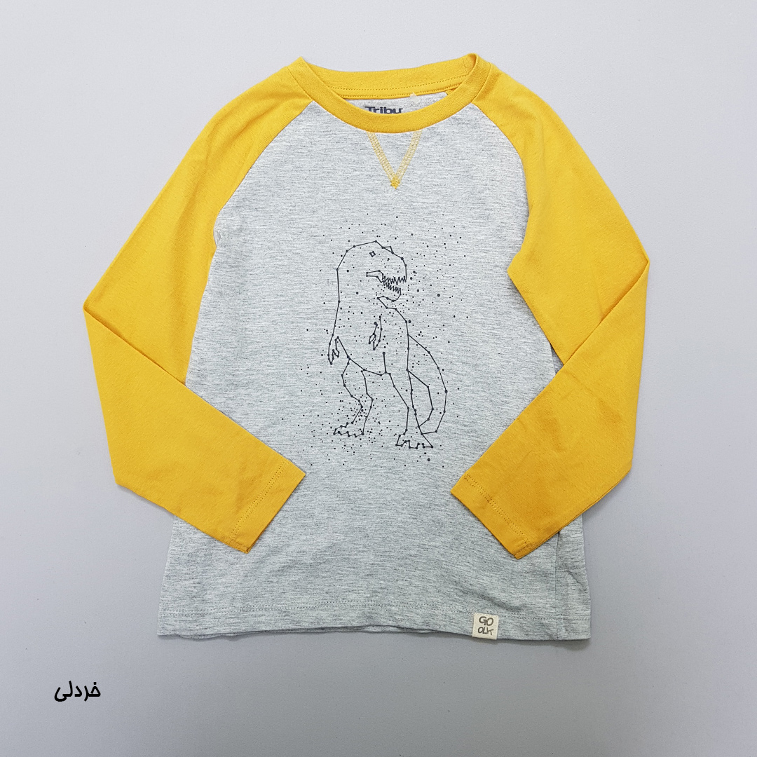 بلوز پسرانه 30303 سایز 4 تا 10 سال مارک Tribu