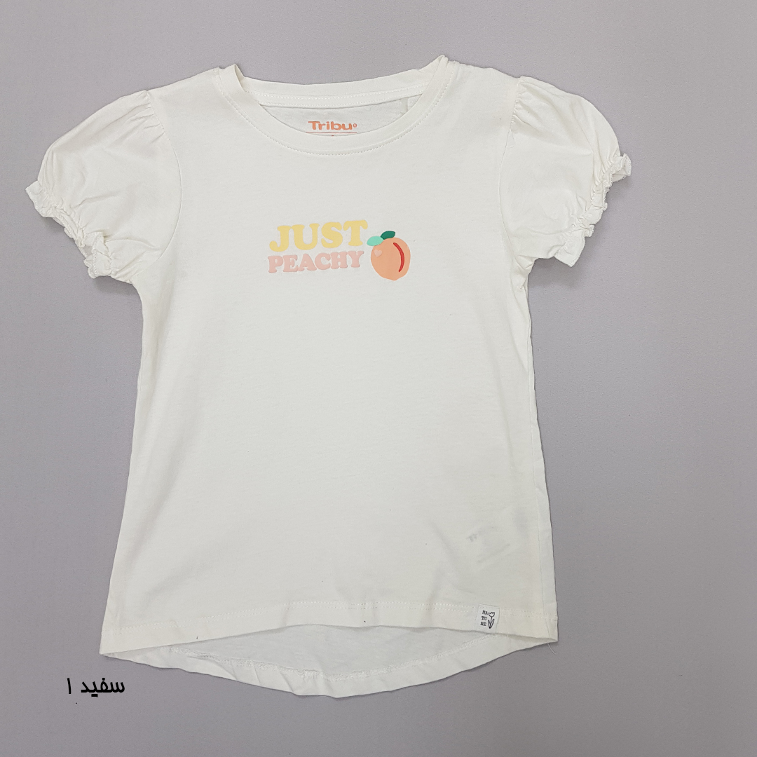 تی شرت دخترانه 30949 سایز 3 تا 10 سال مارک Tribu