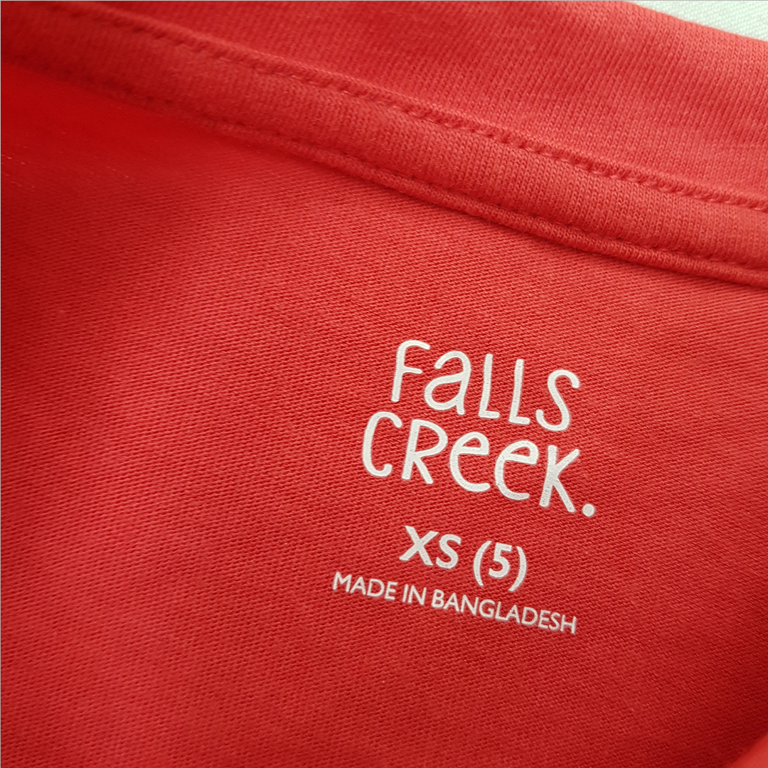 تی شرت پسرانه 31784 سایز 5 تا 16 سال کد 12 مارک Falls Creek