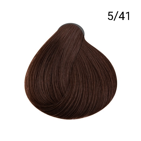 رنگ مو حرفه ای روغن آرگان ARGAN OIL کد 406818