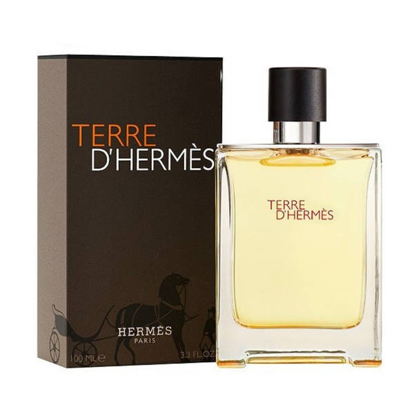 ادو تويلت مردانه هرمس مدل Terre De Hermes کد 10452 perfume