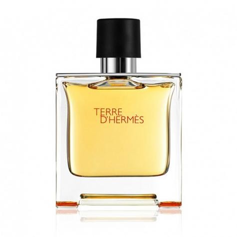 پرفيوم مردانه هرمس مدل Terre dHermes کد 10451 perfume