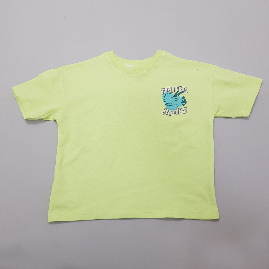 تی شرت پسرانه 35718 سایز 1.5 تا 10 سال کد 4 مارک H&M