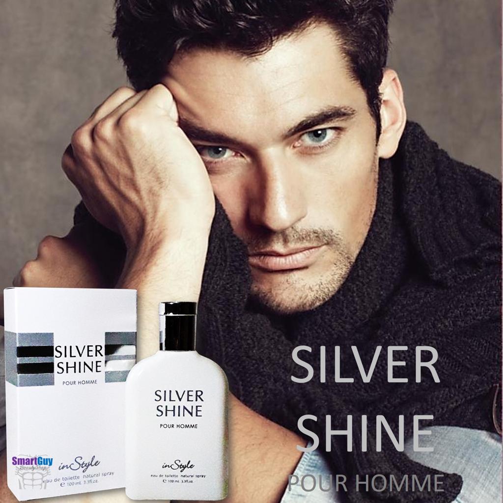 Silver Shine عطر Instyle مردانه (100ml)(6109)