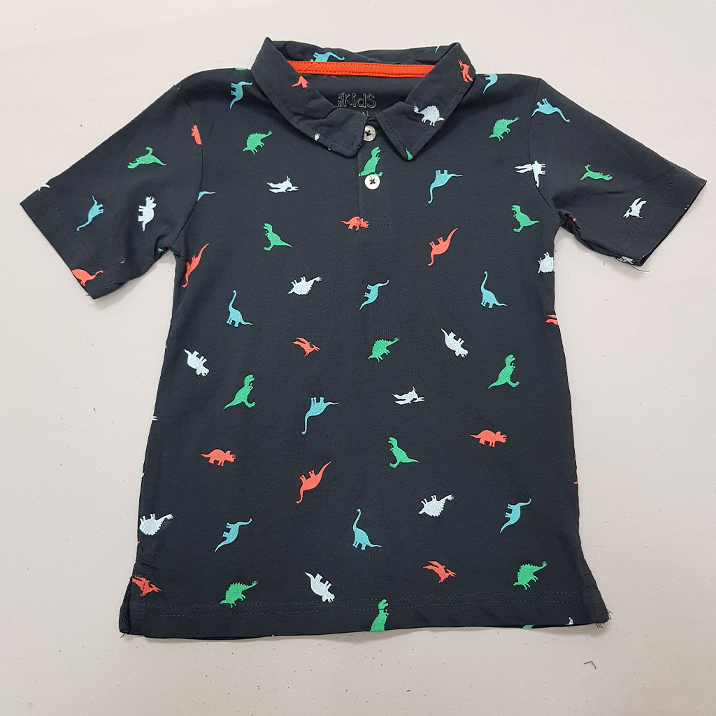 تی شرت پسرانه 39163 سایز 1 تا 10 سال مارک REAL KIDS