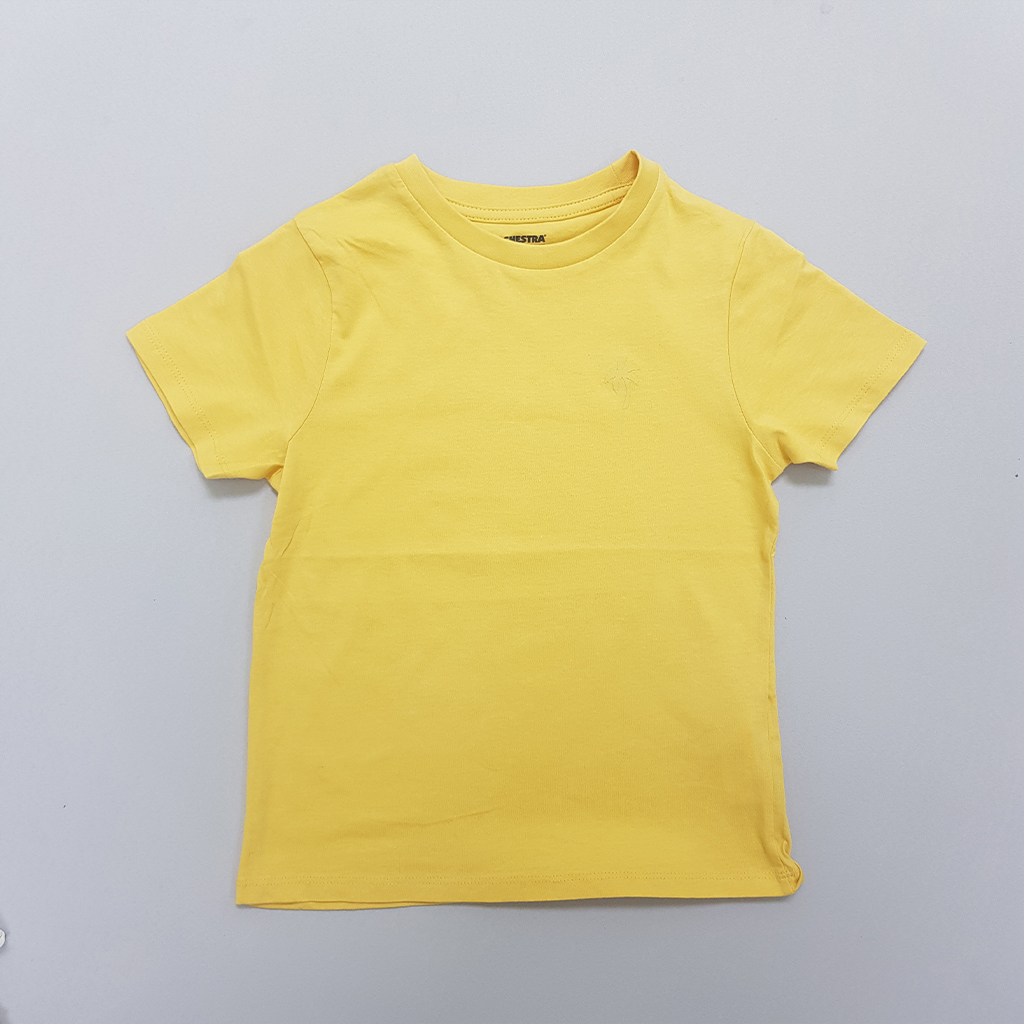 تی شرت پسرانه 40308 سایز 3 تا 14 سال مارک ORCHESTRA