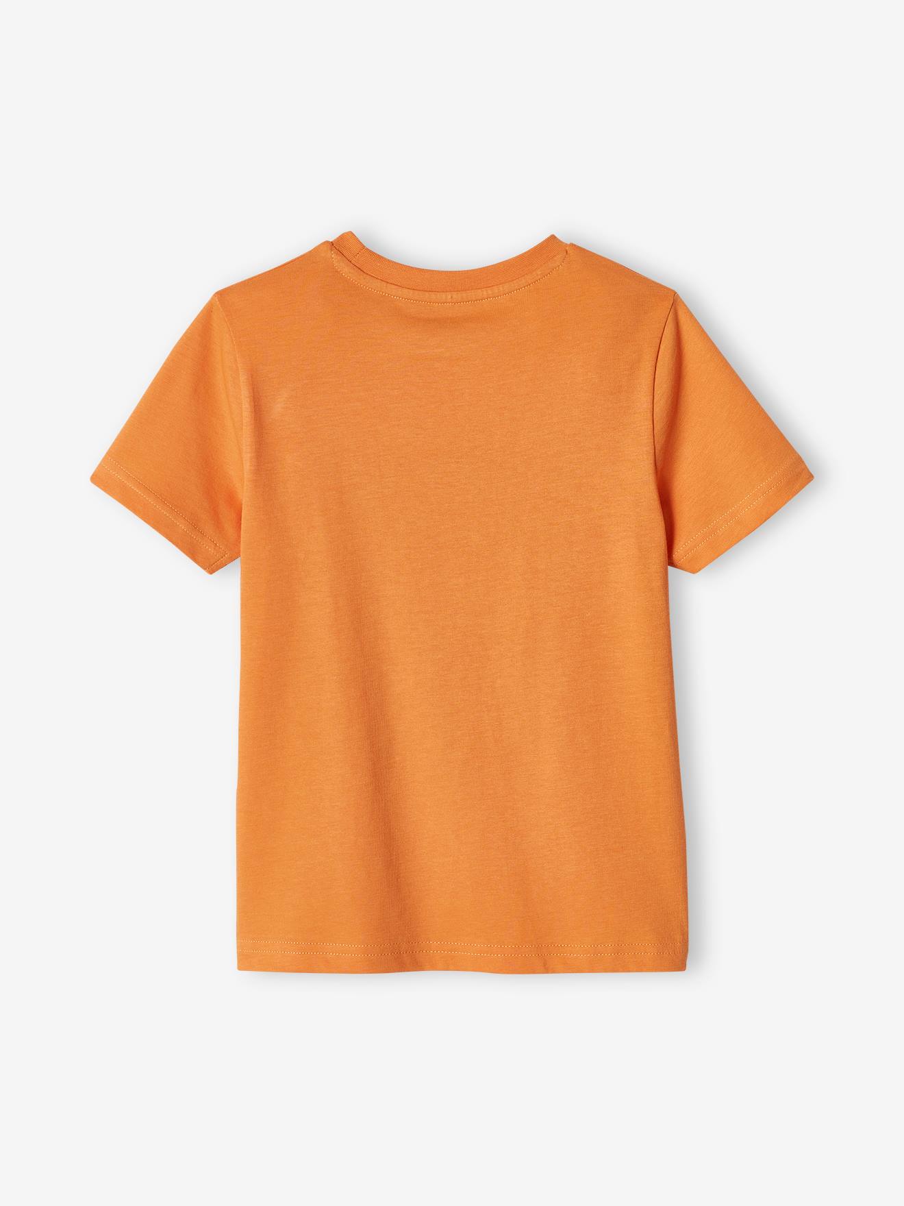 تی شرت پسرانه 40301 سایز 2 تا 14 سال مارک VertBaudet