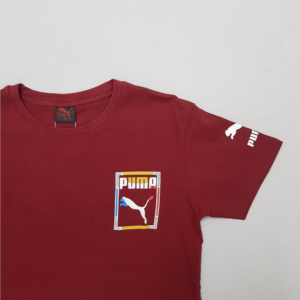 *تی شرت مردانه برند PUMA کد672001