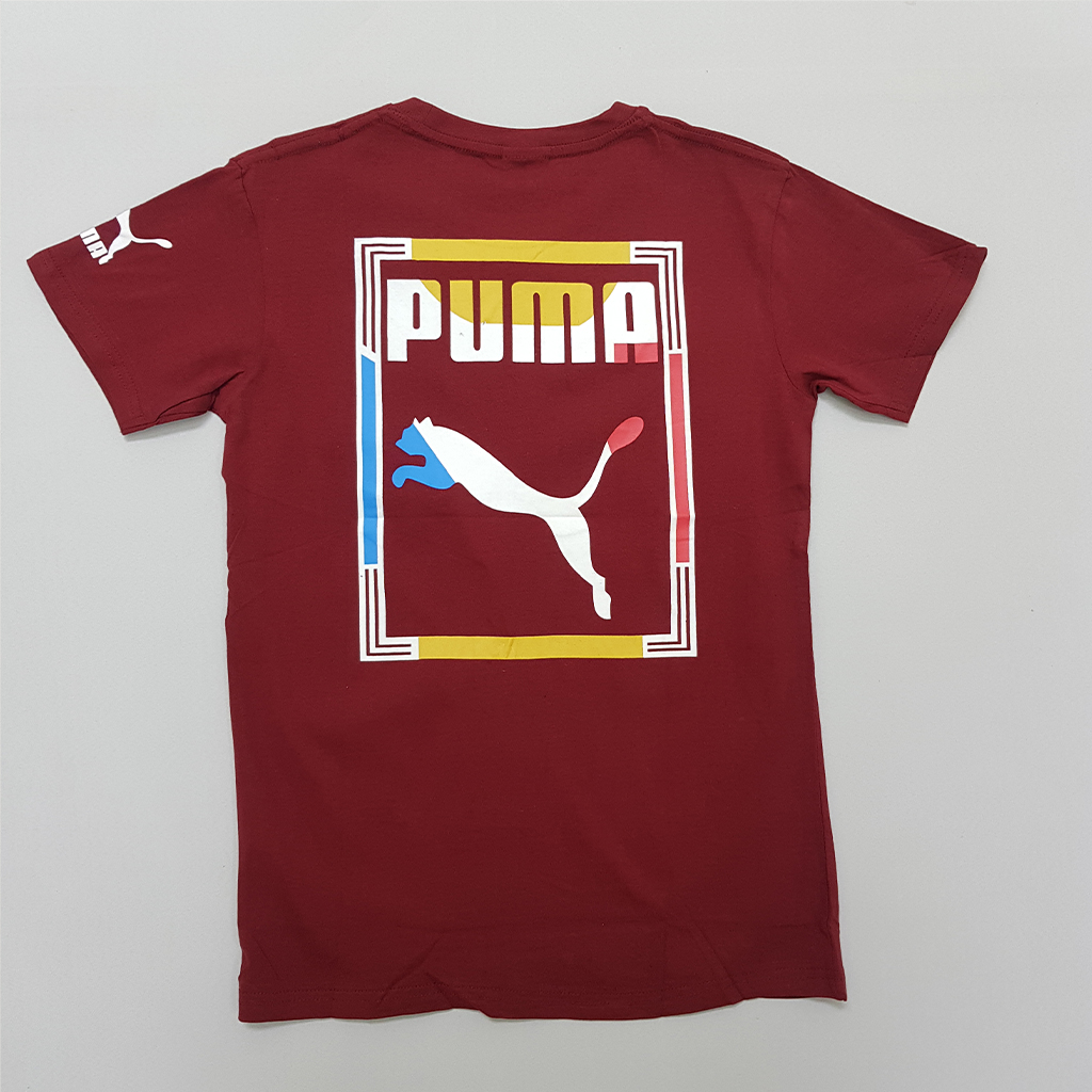 *تی شرت مردانه برند PUMA کد672001