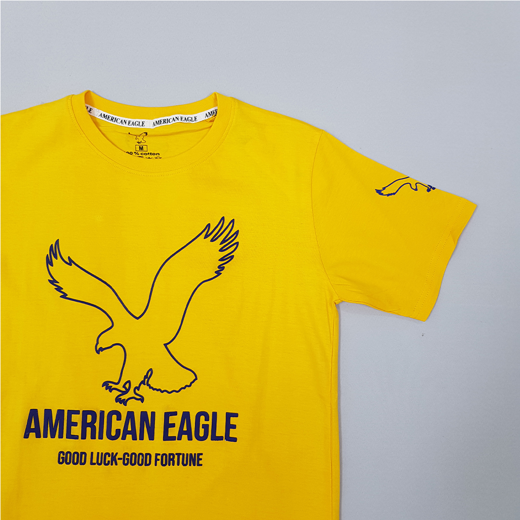 تی شرت مردانه برند AMERICAN EAGLE کد668101