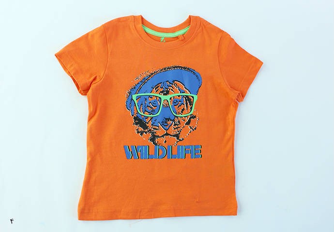 تی شرت پسرانه 100281 سایز 2 تا 6 سال مارک lupilu  محصول بنگلادش
