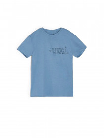تی شرت پسرانه 22354 سایز 8 تا 14 سال مارک SINSAY