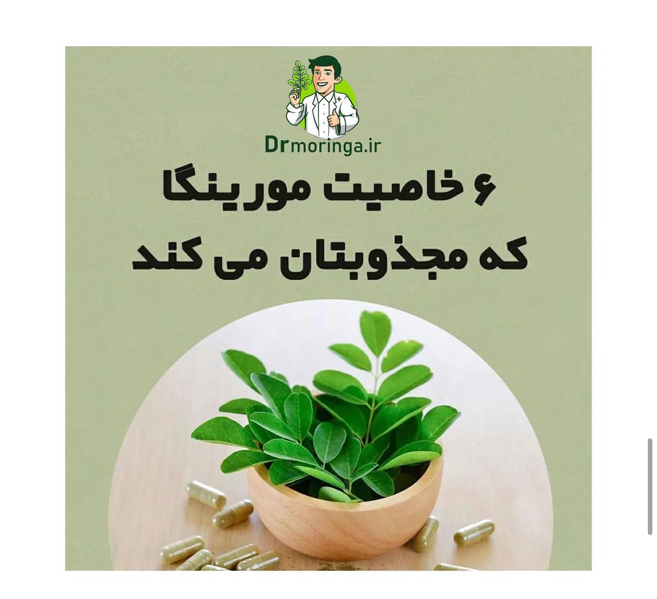 گیاه دارویی مورینگا صد گرمی کد 222