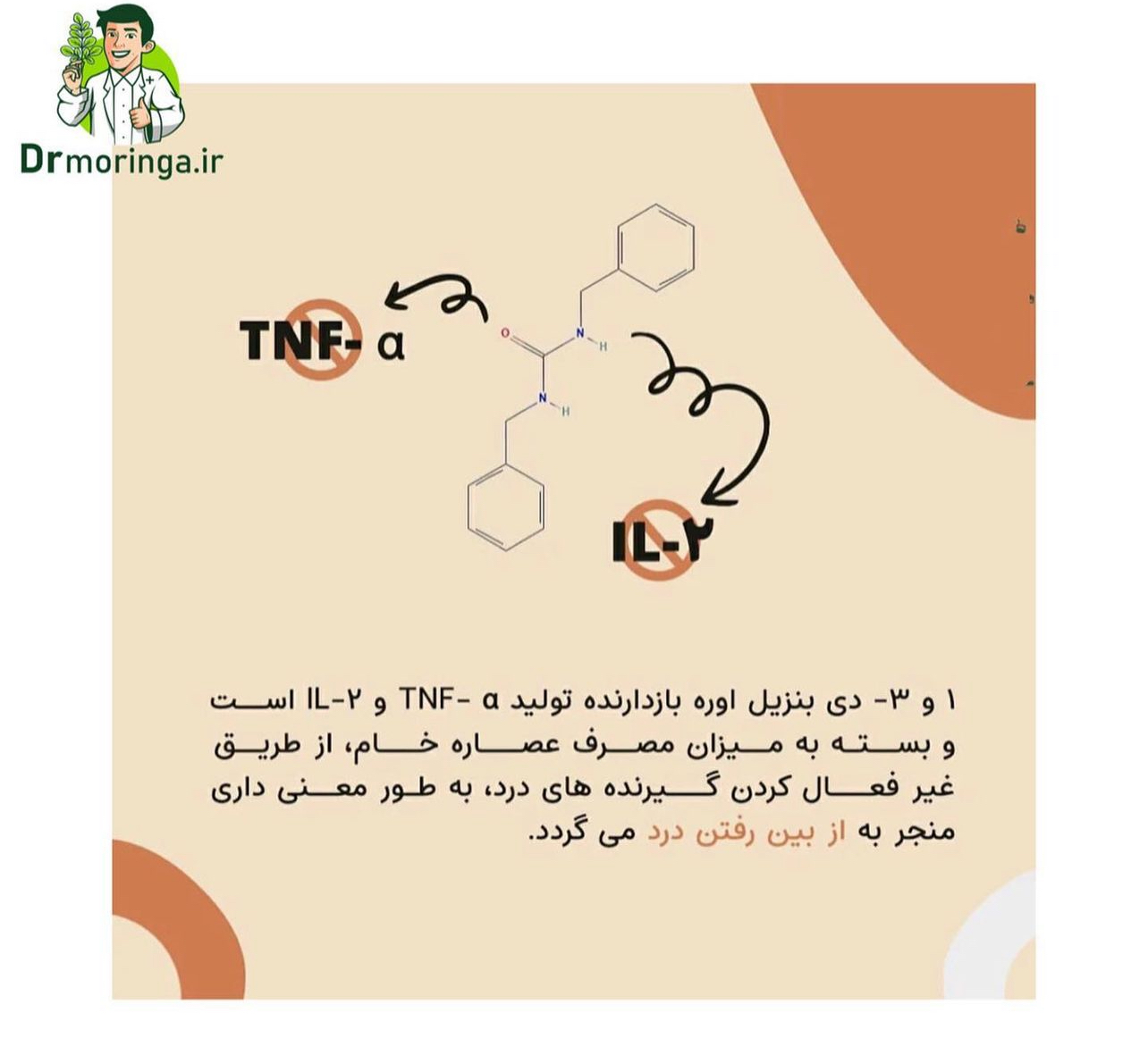 گیاه دارویی مورینگا صد گرمی کد 222