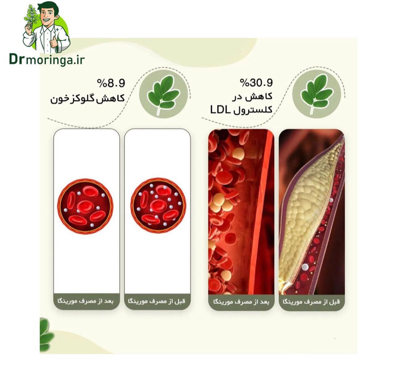 گیاه دارویی مورینگا صد گرمی کد 222