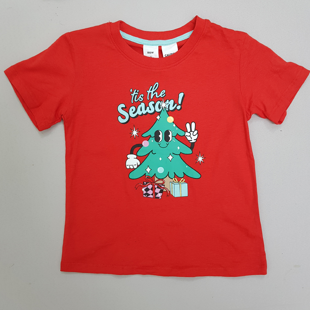 تی شرت بچگانه 27299 سایز 1 تا 14 سال کد 2 مارک BIGW