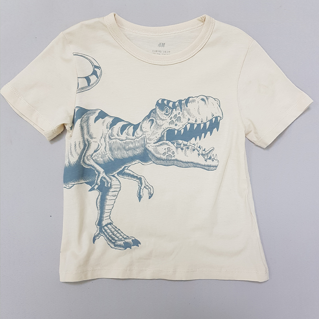 تی شرت پسرانه 27212 سایز 1.5 تا 10 سال مارک H&M