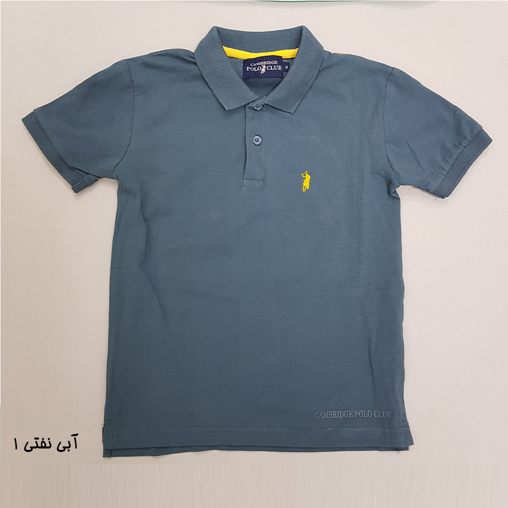 تی شرت یقه دار پسرانه 27127 سایز 2 تا 18 سال کد 5