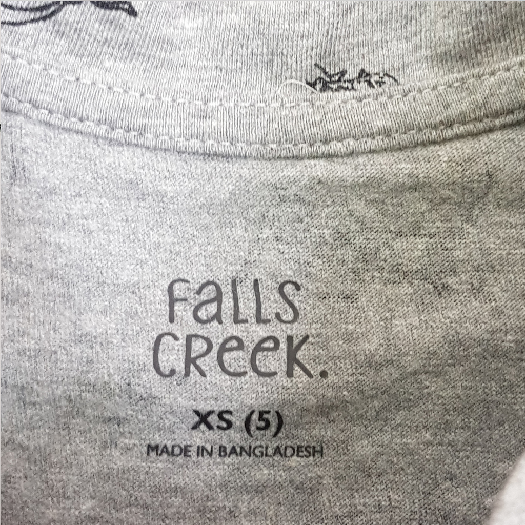 تی شرت پسرانه 27319 سایز 5 تا 16 سال کد 2 مارک Falls Creek