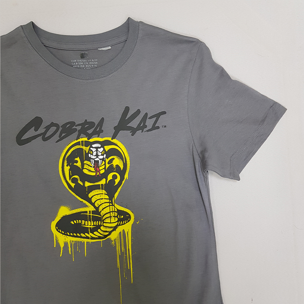 تی شرت پسرانه 28410 سایز 9 تا 15 سال کد 2 مارک H&M
