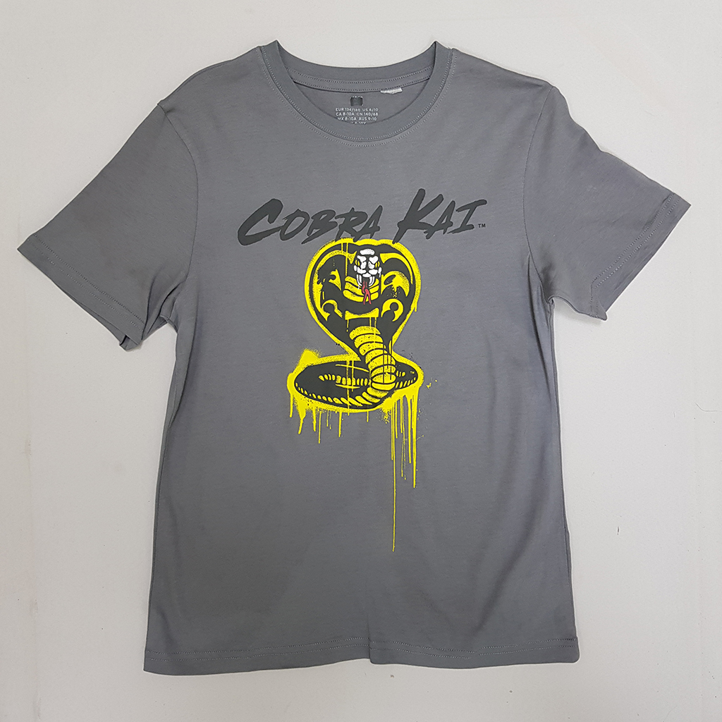 تی شرت پسرانه 28410 سایز 9 تا 15 سال کد 2 مارک H&M