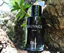 ادو پرفیوم  مردانه دیور ساواج (Dior Sauvage)  100 میلی لیتر (تستر) کد 2032