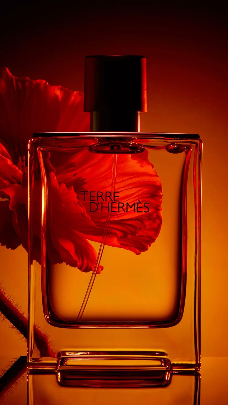 ادو پرفیوم مردانه TERRE D’HERMÉS کالکشن (Smart NO.275) کد 3228
