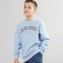 پلیور پسرانه 29250 سایز 6 تا 16 سال مارک Jack&Jones