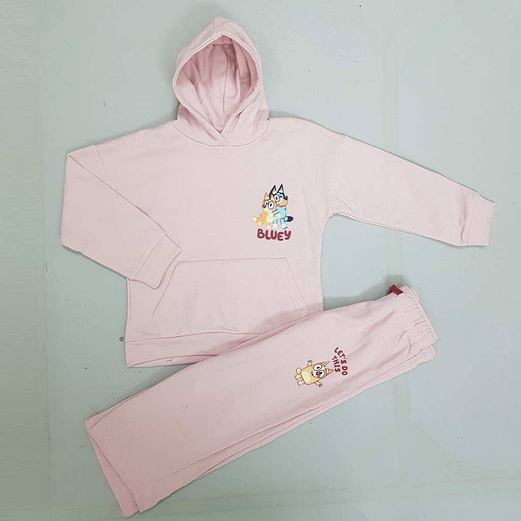 ست هودی و شلوار دخترانه 29603 سایز 2 تا 10 سال کد 2 مارک H&M