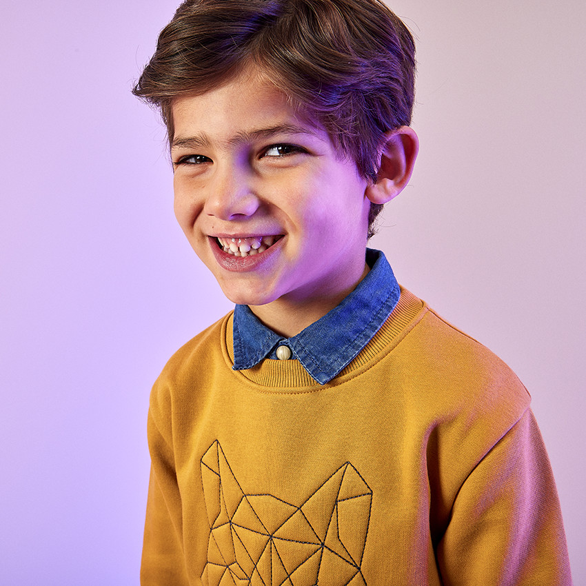 پلیور پسرانه 29727 سایز 3 تا 12 سال کد 1 مارک Orchestra