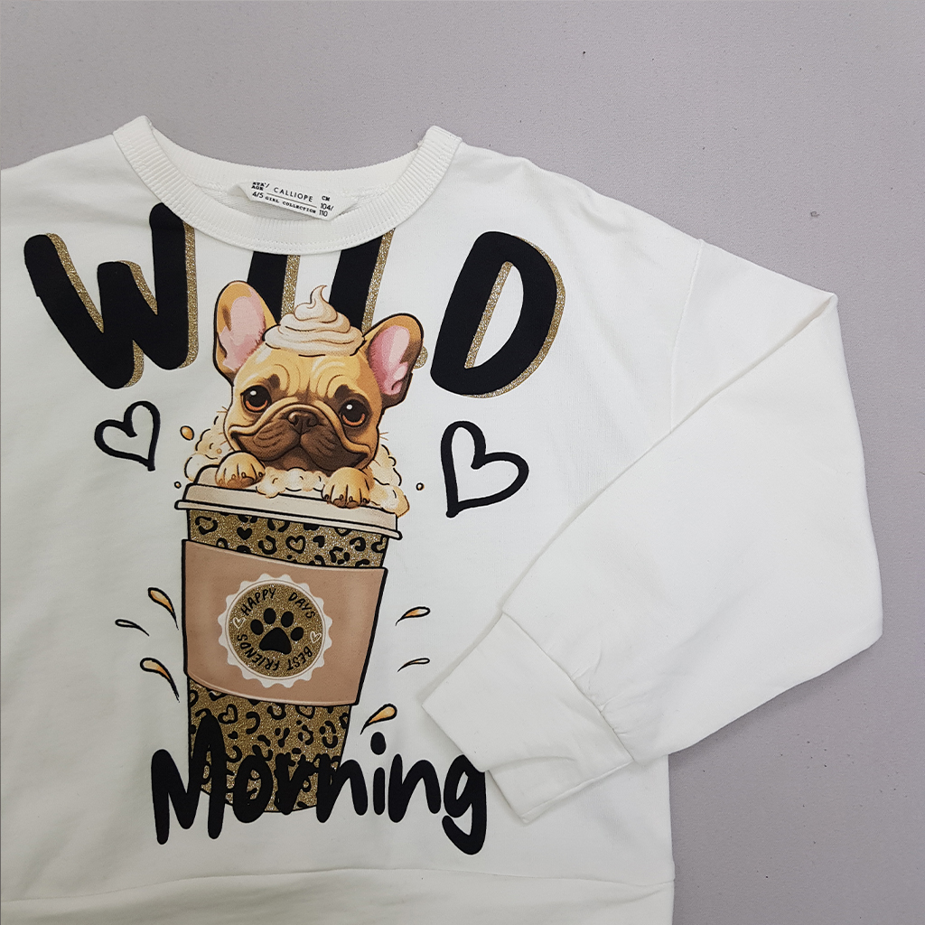 پلیور دخترانه 29819 سایز 4 تا 13 سال مارک Calliope