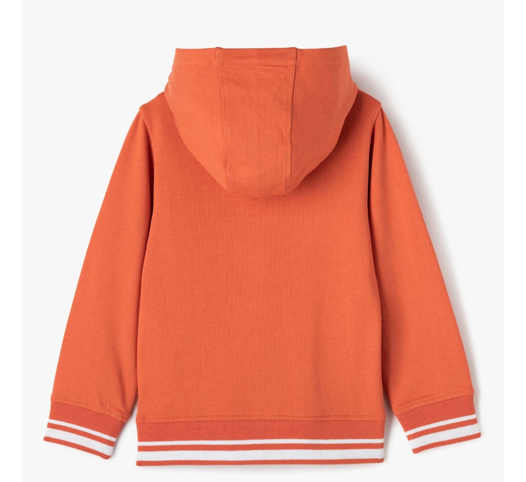 هودی پسرانه 29994 سایز 4 تا 12 سال مارک GEMO