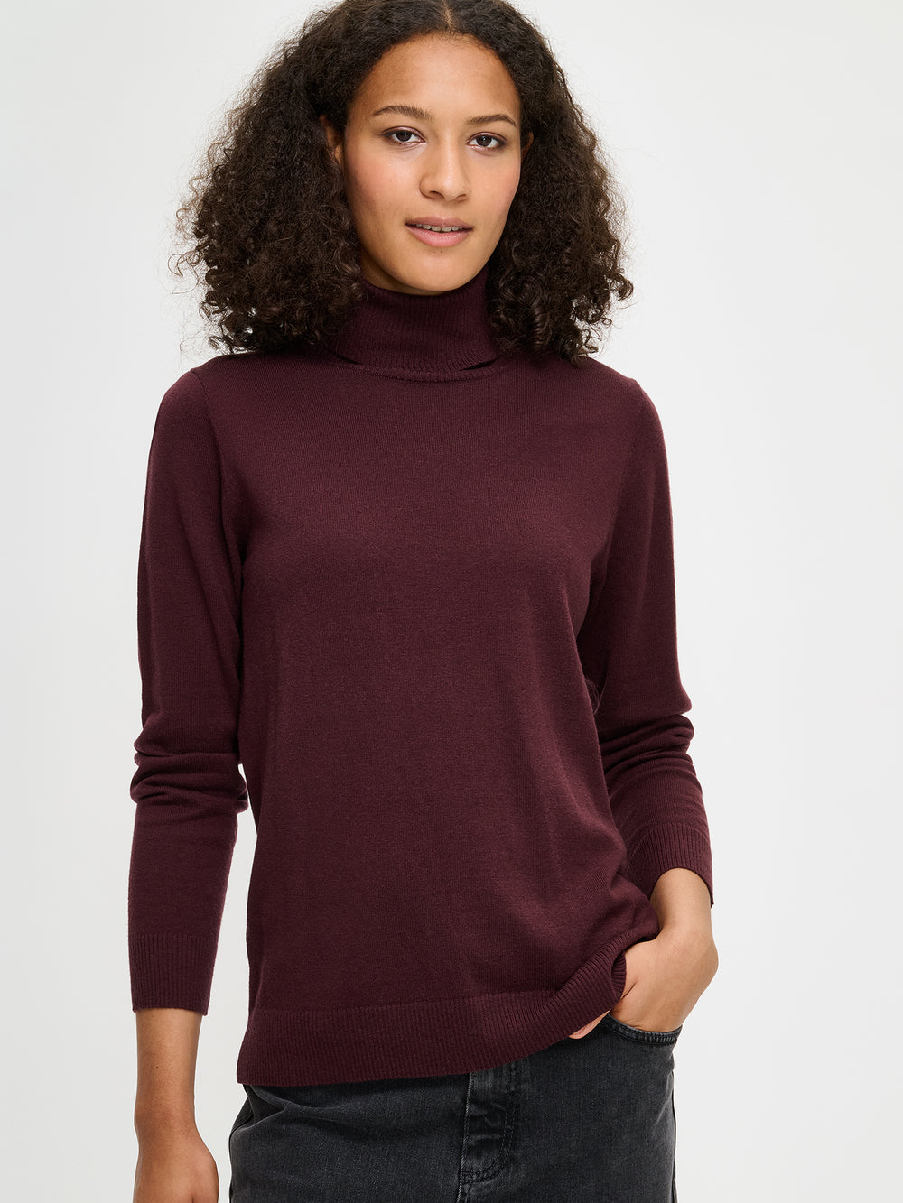 بافت یقه اسکی زنانه 30113