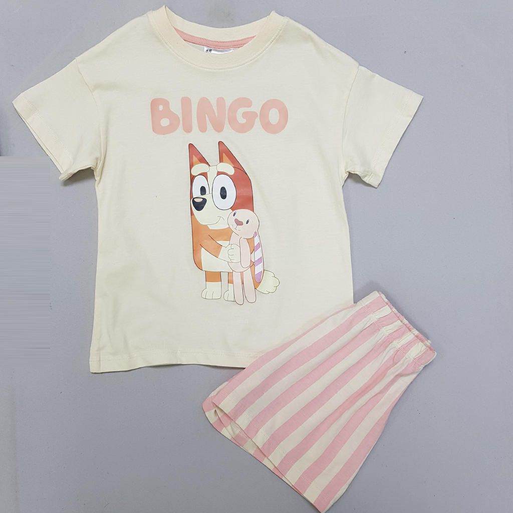 ست دخترانه 29600 سایز 1.5 تا 10 سال کد 2 مارک H&M