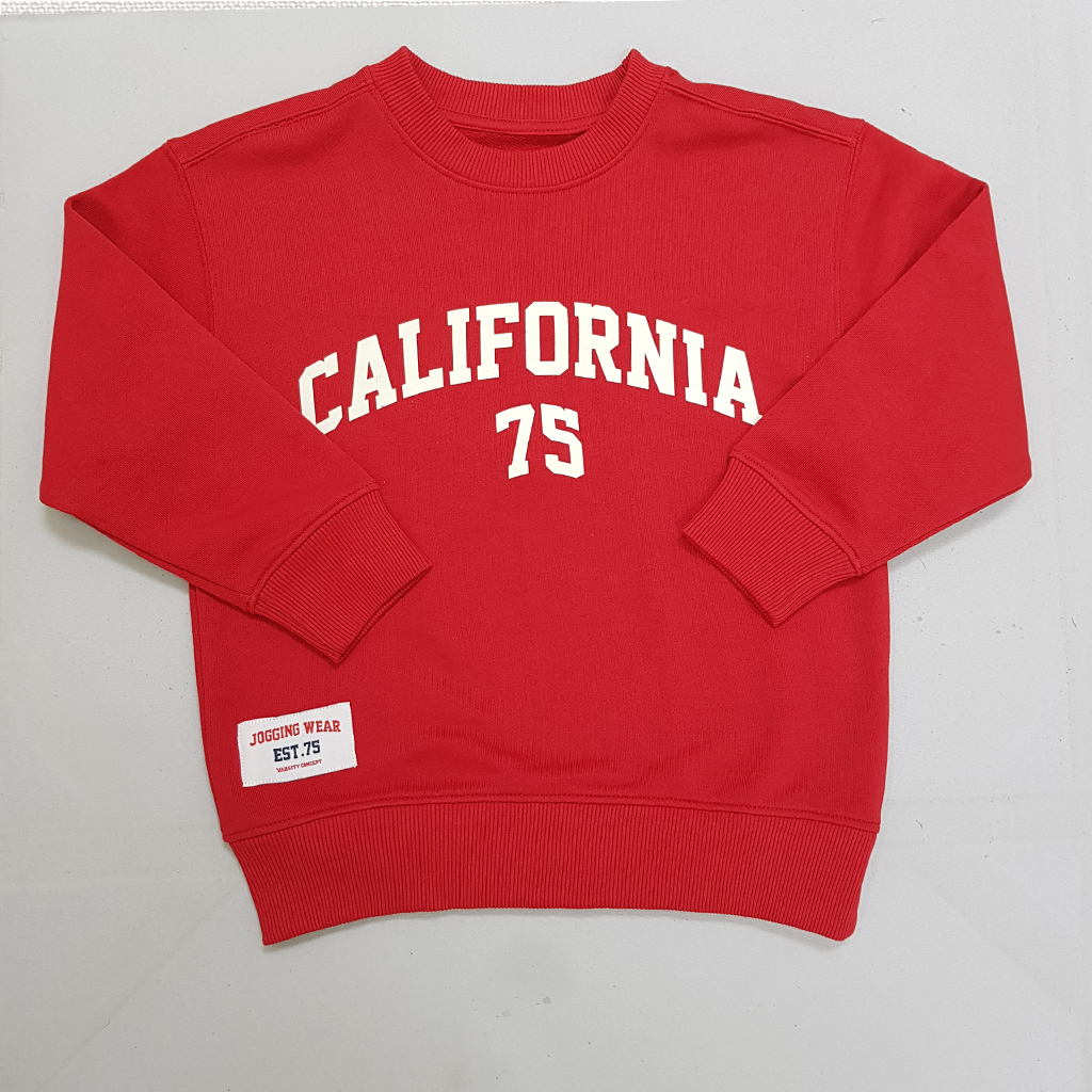 پلیور پسرانه 30176 سایز 6 تا 14 سال مارک ZARA