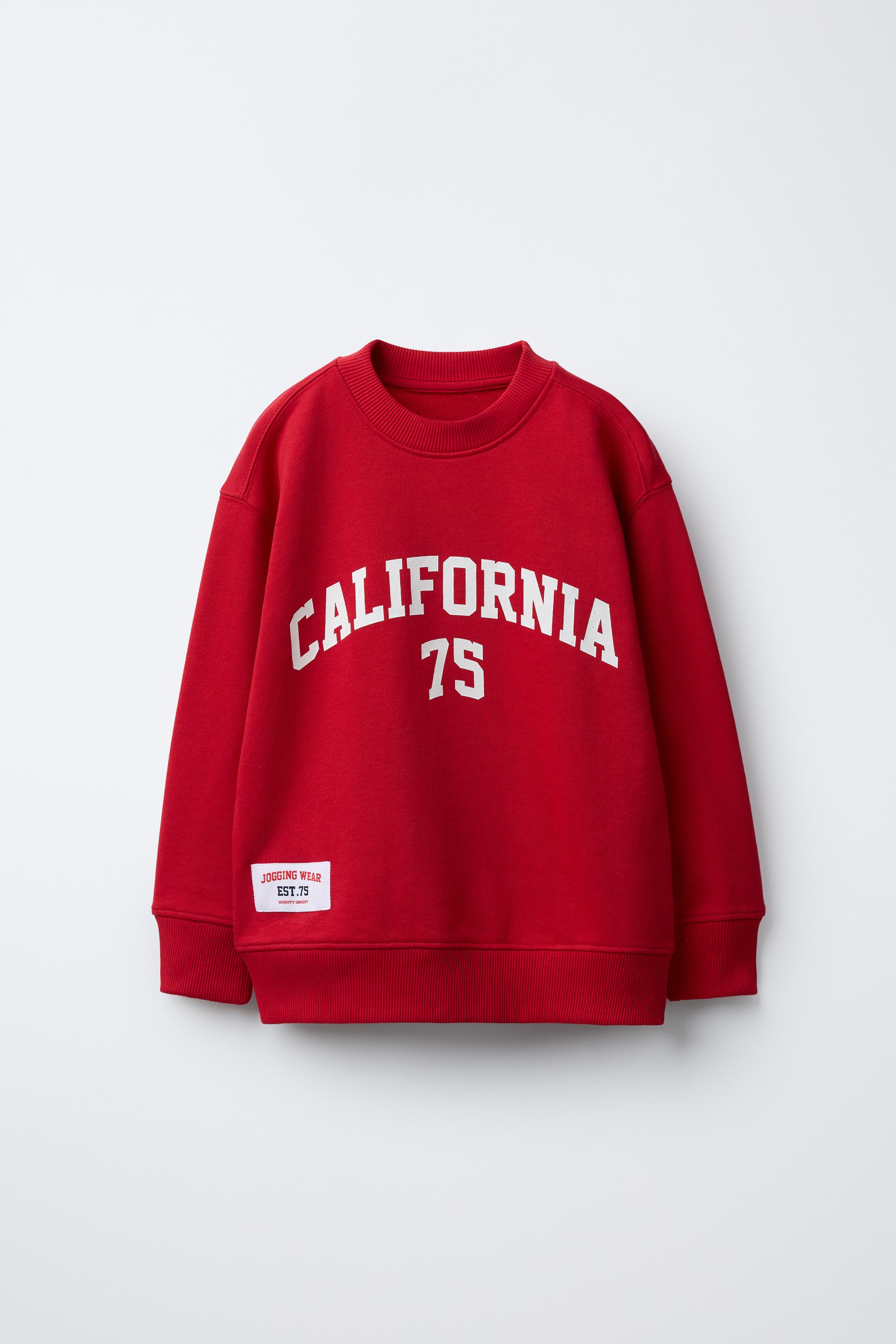 پلیور پسرانه 30176 سایز 6 تا 14 سال مارک ZARA