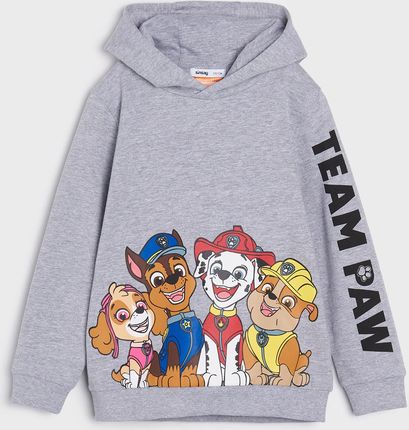 هودی پسرانه 30212 سایز 2 تا 8 سال مارک SINSAY