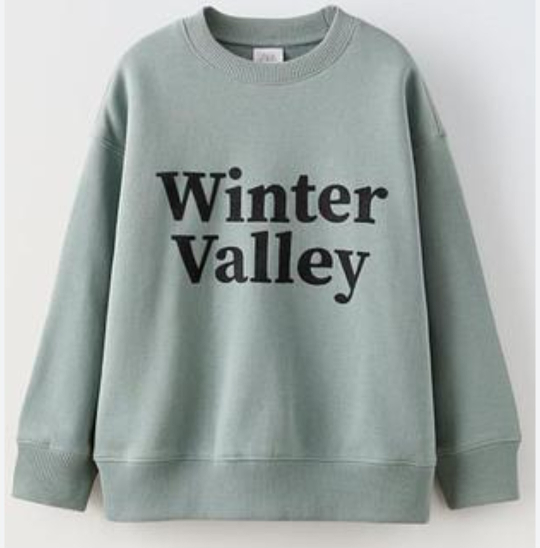 پلیور پسرانه 30175 سایز 6 تا 14 سال مارک ZARA