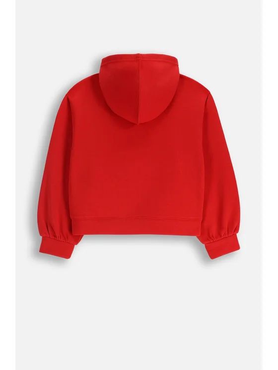 هودی دخترانه 29383 سایز 8 تا 15 سال مارک CDRL   *