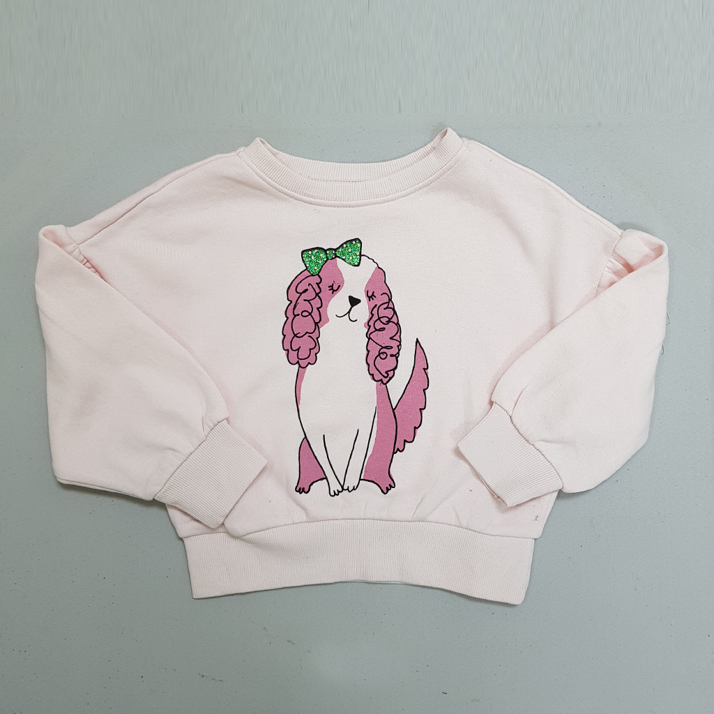 پلیور دخترانه 30299 سایز 3 تا 10 سال مارک SINSAY