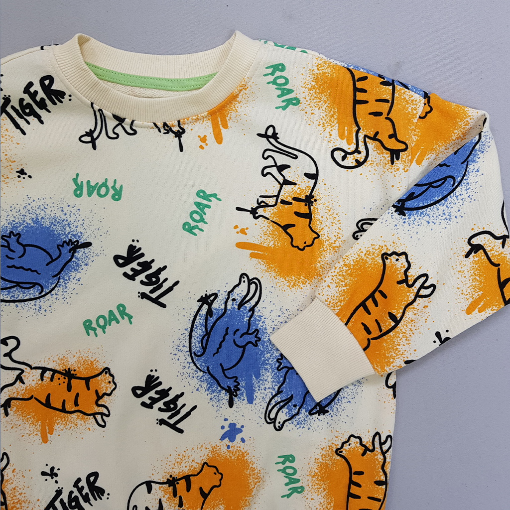 پلیور پسرانه 30294 سایز 3 تا 8 سال مارک SINSAY