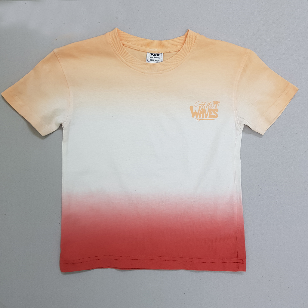 تی شرت پسرانه 30569 سایز 3 تا 14 سال مارک TAPEA LOEIL